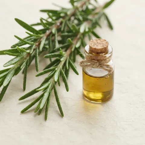 Olio di foglie di rosmarino (Rosmarinus officinalis) — ArtiZynt gel